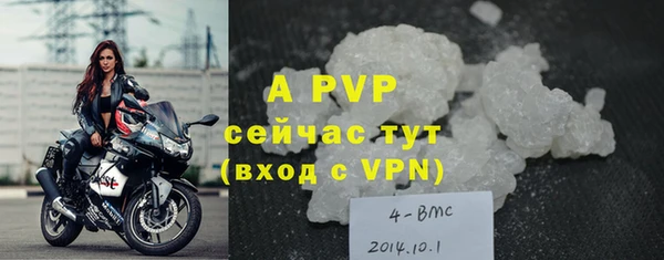дмт Белокуриха