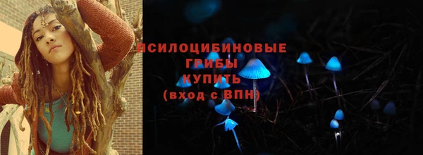 ГАЛЛЮЦИНОГЕННЫЕ ГРИБЫ Беломорск