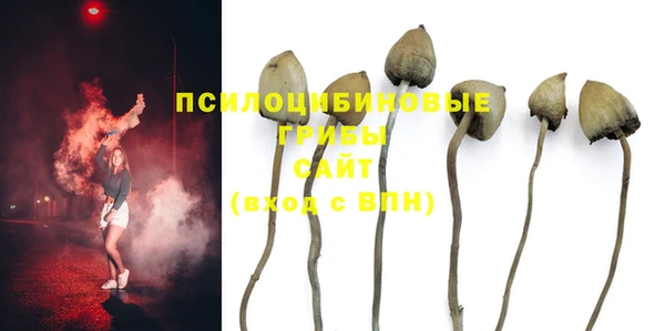 PSILOCYBIN Белоозёрский