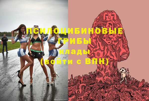 PSILOCYBIN Белоозёрский