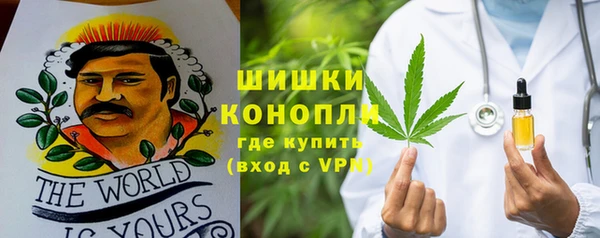 дмт Белокуриха