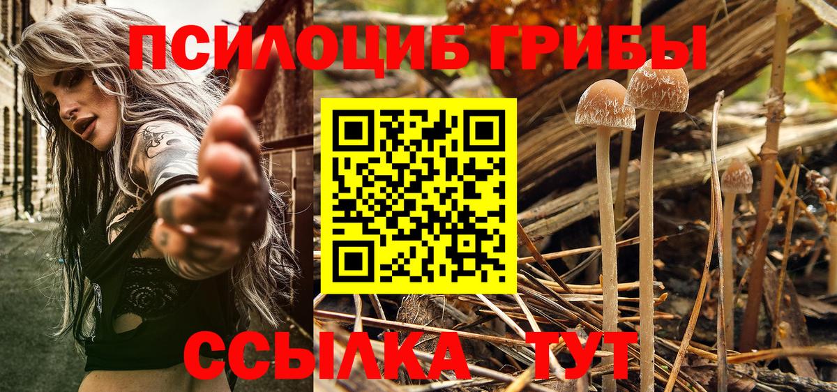 Галлюциногенные грибы мухоморы Буйнакск